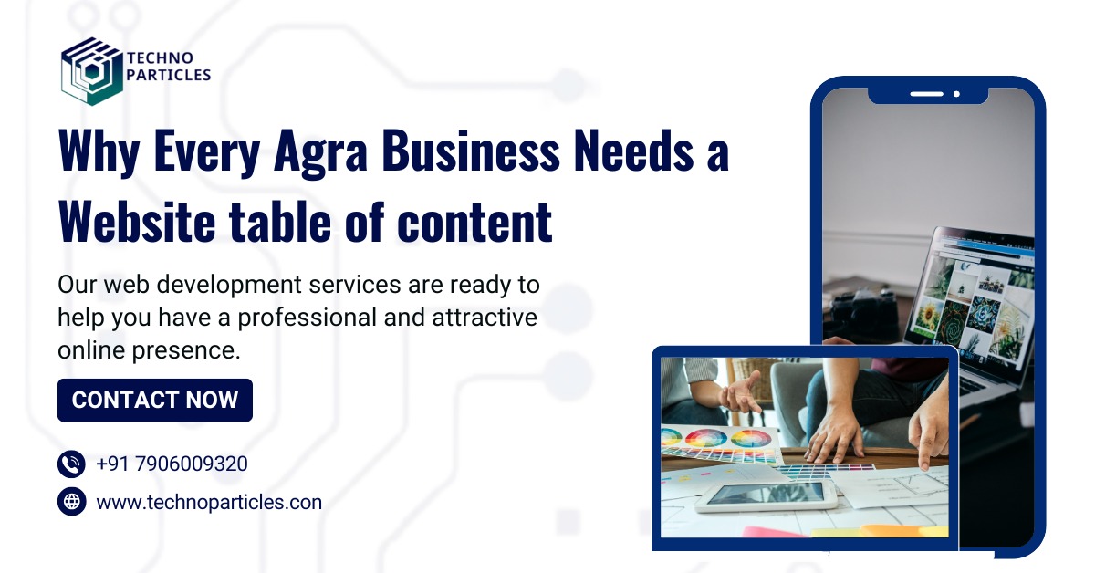 Why Every Agra Business Needs a Website table of content