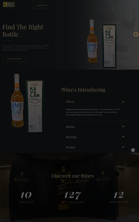 Aldoze Website - Web Development Project by Techno Particles showcasing innovative AI solutions