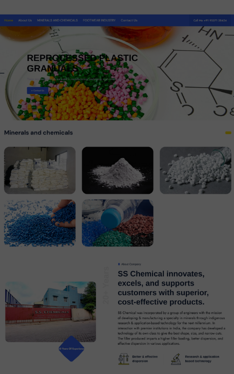 SS Chems Website - Business Website Project by Techno Particles showcasing innovative AI solutions